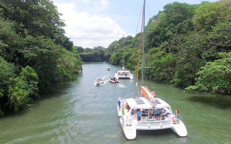 Catamaran Tour East Coast