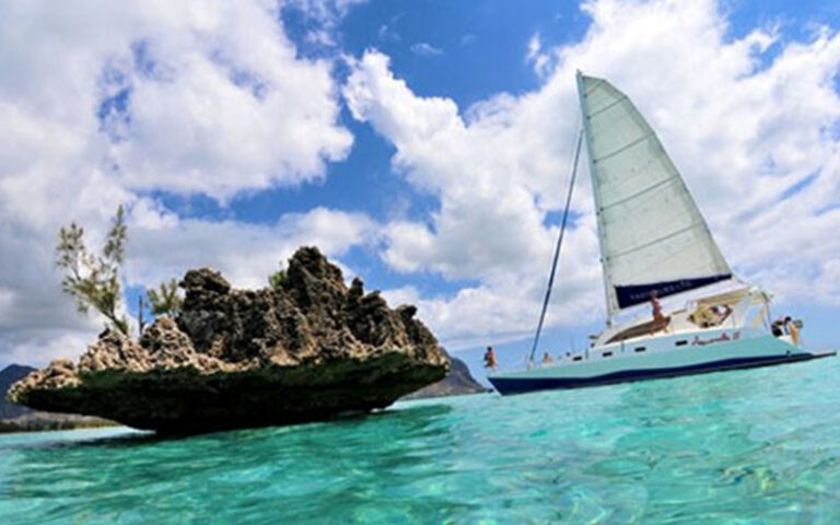 Catamaran cruise west coast