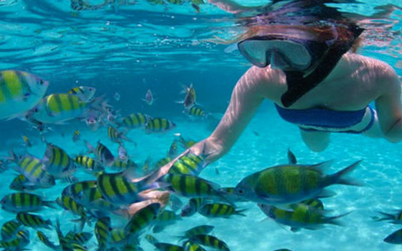 snorkeling-1.jpg