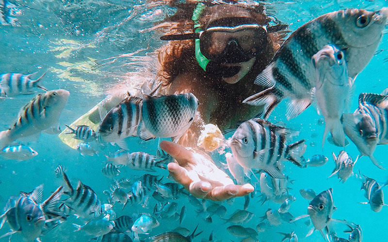 snorkeling-ile-aux-deux-cocos