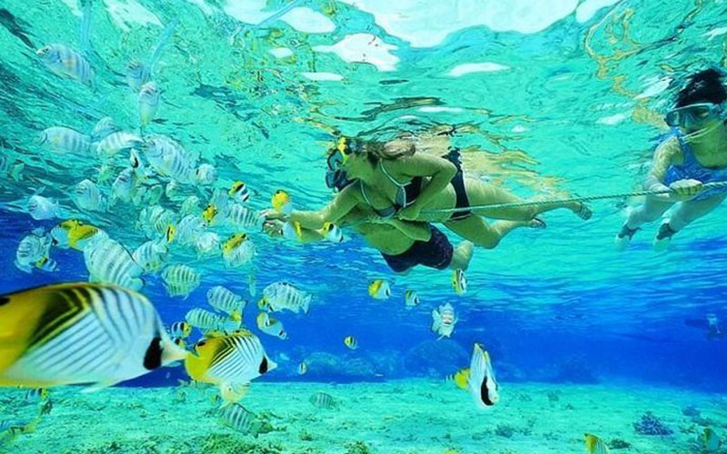 snorkeling